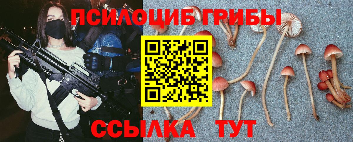 Галлюциногенные грибы мицелий  Вход с VPN  Кувандык 
